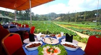 Hotel Ashford 4*