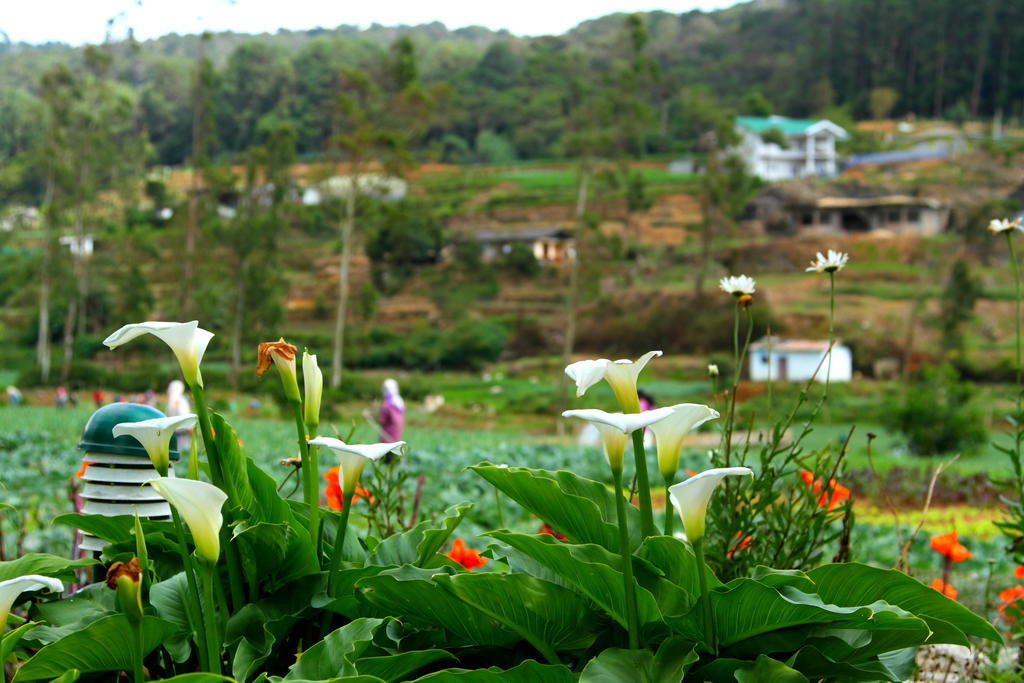 Ashford Hotel Nuwara Eliya